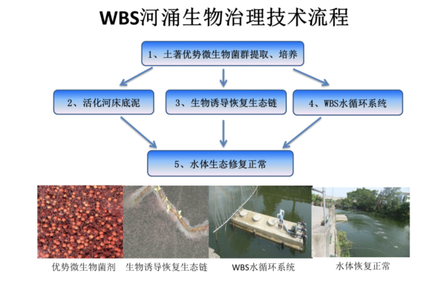 飞灰螯合剂